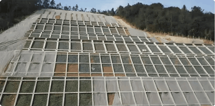 1751268382256151.png 局部截取_20250630_152437.png