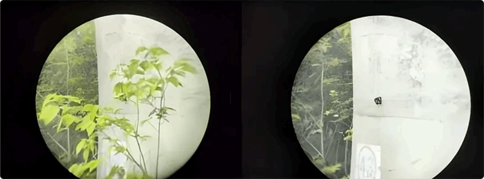 1751330138151510.png 局部截取_20250701_082944.png